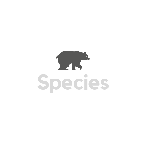 Image Indicating Species